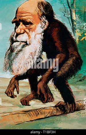 Charles Robert Darwin (1809-1882). British naturalist. Author of The Origin of Species, 1859. Caricature of Darwin depicted as a monkey. Watercolour painting by Francisco Fonollosa, Spanish illustrator (late 20th century). Stock Photo
