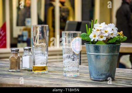 Empty pint glasses, salt, pepper and a polyanthus plant in a pot. Stock Photo