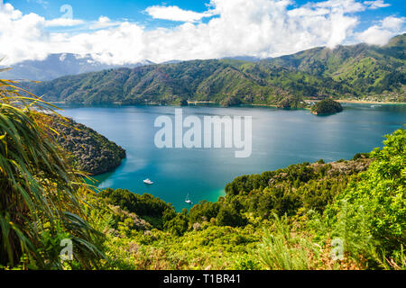 View from the Queen Charlotte Track hiking trail lookout to the Grove Arm of Queen Charlotte Sound, a part of the Marlborough Sounds sea-drowned valle Stock Photo