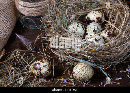 Easter still life. Quail eggs in the nest and on the old wooden table in the barn among hay and dried flowers. Stock Photo