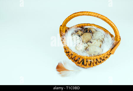 Small basket with quail eggs on feathers. Eastering or hunting background on white Stock Photo