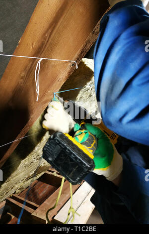 portrait of a master builder screwing ceiling Stock Photo - Alamy