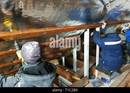 The masters' team installs the roof of the house, and in particular screws the screws in the boards for fixing the foil film and mineral wool 2019 Stock Photo