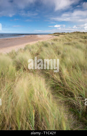 Yellowcraig beach, Dirleton, East Lothian, Scotland, United Kingdom ...