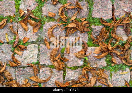 Fallen Leaves on Granite Cobblestone Pavement. Red Brown Natural Stone Chopped Cobbles Background. Stock Photo