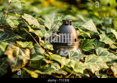 Ritual Candle Lantern in Dense Thickets of Ivy. Glyph of Prayer of Usobshim Stock Photo