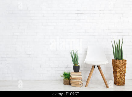 Indoor plants and chair on white background Stock Photo