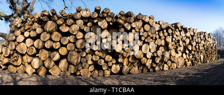 Eine Menge Holz für einen Winter Stock Photo