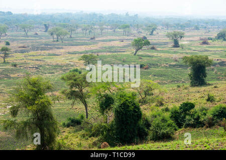 Lush green landscape of Ishasha Sector of Queen Elizabeth National Park in South West Uganda, East Africa Stock Photo