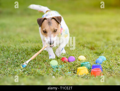 Funny dog with paintbrush making DIY Easter eggs on grass Stock Photo