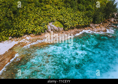 Aerial drone shot of palm grove and transparent blue water on Seychelles tropical beach, La Digue island Stock Photo
