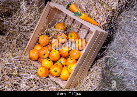 Orange-red apples in wooden box on the hay. Stock Photo