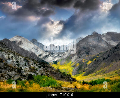 McGee Creek canyon with fall colored aspens. Inyo National forest. California Stock Photo