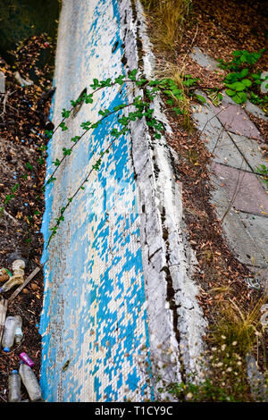 Broken blue azure  retro tiles mosaic in abandoned pool - Berengaria Hotel, Cyprus Stock Photo