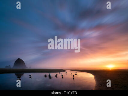 Cannon Beach at sunset with Haystack Rock, stream and couple with dog. Oregon Stock Photo