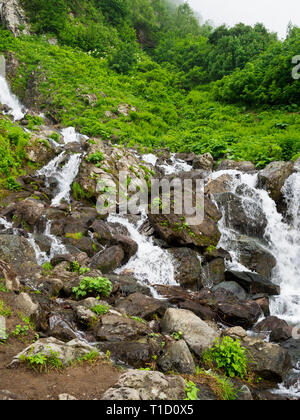 A powerful mountain stream flows down from the rocks and stones. Green vegetation in the mountains in summer. Stock Photo