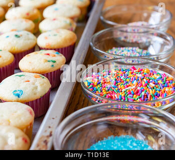 Row of candy sprinkles and rows of mini cupcakes waiting to be frosted. Stock Photo