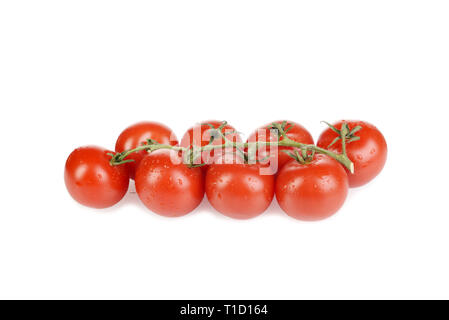 closeup organic cherry tomatoes on the vine Stock Photo