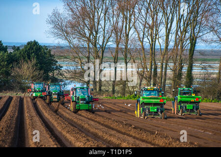 Tractors carrying out deep bed shaping followed by sowing the fields in early springs time at Burnham Overy in North Norfolk, East Anglia, England, UK Stock Photo