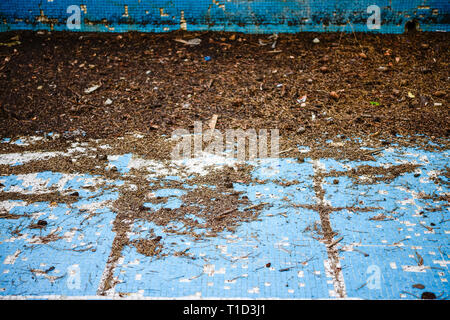 Broken blue azure  retro tiles mosaic in abandoned pool - Berengaria Hotel, Cyprus Stock Photo