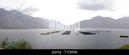 Aquaculture Nets at Bay of Kotor in Montenegro Stock Photo