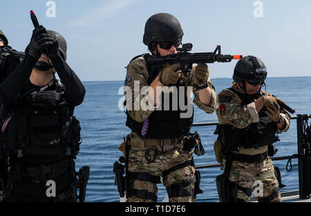 190324-N-HD110-0291  PACIFIC OCEAN (March 24, 2019) Sailors assigned to the Harpers Ferry-class amphibious dock landing ship USS Harpers Ferry (LSD 49) visit, board, search, and seizure team conduct tactical movements during a VBSS training exercise. Harpers Ferry is underway conducting routine operations as a part of USS Boxer Amphibious Ready Group (ARG) in the eastern Pacific Ocean. (U.S. Navy photo by Mass Communication Specialist 3rd Class Danielle A. Baker) Stock Photo
