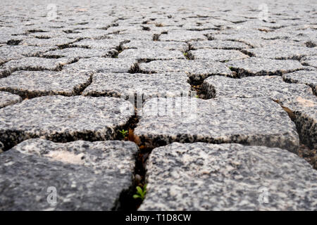 road paved with setts Stock Photo