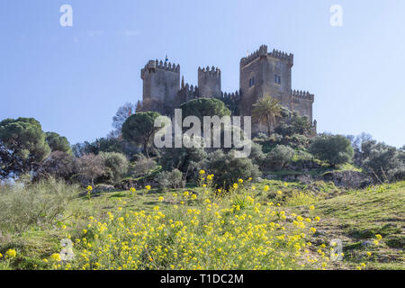 The castle of Almodovar del Rio, Cordoba Province, Andalusia, Spain.  This fortress, of Arab origin, belonged to the Califato of Cordoba. Stock Photo