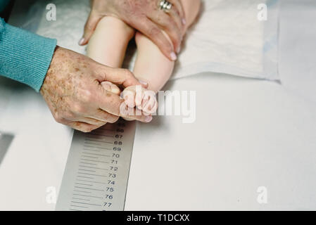 newly born in the clinic of the pediatrician measuring a height and height of the baby with the help of a ruler. Stock Photo