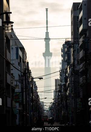 The Skytree towers over Tokyo, Japan. seen from a narrow alley the tower is just a dark looming shadow in early morning light looking through the smog Stock Photo