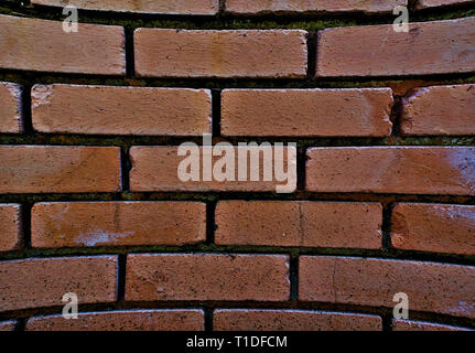 Old curved red brick wall with moss. Texture, background. Stock Photo