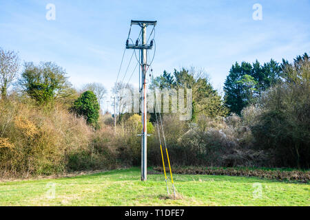 The end of a row of wooden powerline poles with lines running into the ground after being carried through a break in trees Stock Photo