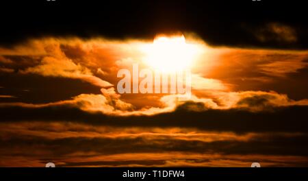 Golden sunset Stock Photo