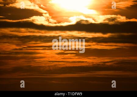 Golden sunset Stock Photo
