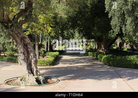 Jnane El Harti (Harti Garden), New City, Marrakesh, Marrakesh-Safi region, Morocco, north Africa Stock Photo