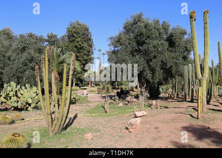 Jnane El Harti (Harti Garden), New City, Marrakesh, Marrakesh-Safi region, Morocco, north Africa Stock Photo