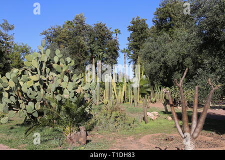 Jnane El Harti (Harti Garden), New City, Marrakesh, Marrakesh-Safi region, Morocco, north Africa Stock Photo