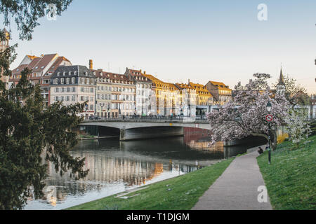 Strasbourg, France - Mar 27, 2017: Central Strasbourg with ill river and in bloom magnolia tree arab woman reading under the tree Stock Photo