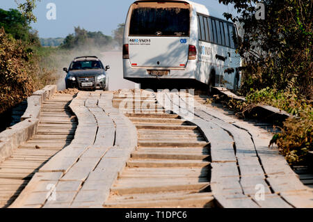 'Traffic jam' at end of a wooden bridge on the Transpantaneira Highway in The Pantanal Brazil Stock Photo