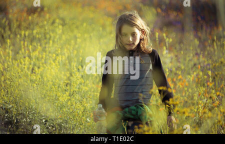 A boy walks amongst the wildflower super bloom in Lake Elsinore, California spring 2019 Stock Photo