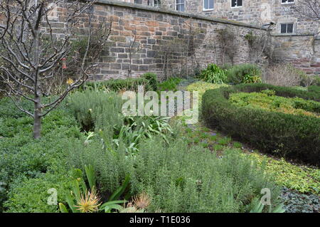 Public garden known as the Archivist's Garden, HM General Register Office, Edinburgh, March 2019 Stock Photo