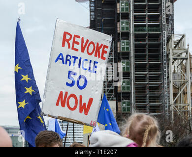 London, England, UK. 23 March 2019.  People's Vote anti Brexit protest march Stock Photo