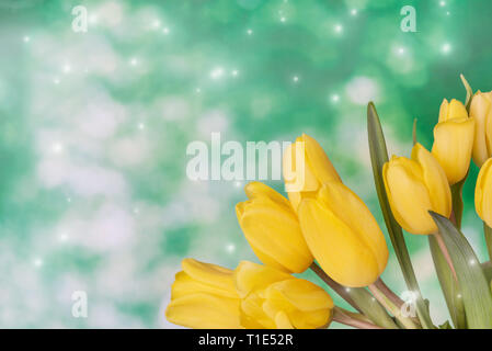 Beautiful bouquet of yellow flowers of tulips on a green natural background with highlights of light and space for text. Layout for postcard or invita Stock Photo