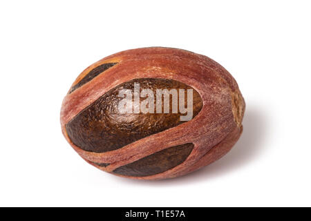 nutmeg (Myristica fragrans) isolated on white background Stock Photo