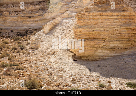 Marl stone formations. Eroded cliffs made of marl. Marl is a calcium carbonate-rich, mudstone formed from sedimentary deposits. Photographed in Israel Stock Photo