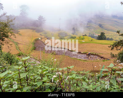 Rice terraces in Yunnan Province, China Stock Photo