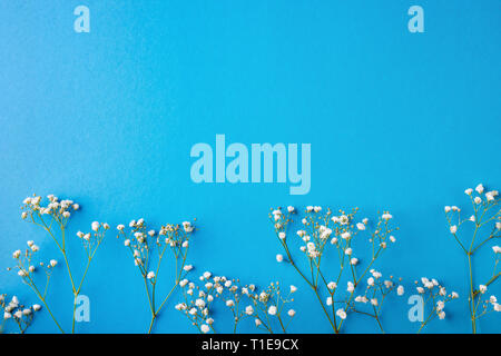 Flowers on a blue background. Copy space. Stock Photo
