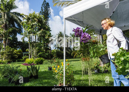 Miami Beach Florida,Miami Beach,Botanical Garden,Tour of,Miami Beach,Gardens,horticulture,gardening,adult adults woman women female lady,orchid,plants Stock Photo