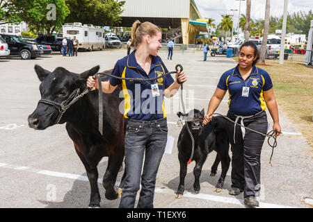 Miami Florida,Kendall,Tropical Park,Miami International Agriculture & Cattle Show,breeding,livestock trade,agri business,Hispanic girl girls,youngster Stock Photo