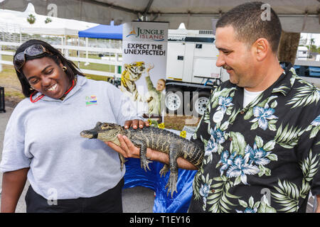 Miami Florida,Kendall,Tropical Park,Miami International Agriculture & Cattle Showtrade,agri business,wildlife,alligator,reptile,Black African Africans Stock Photo